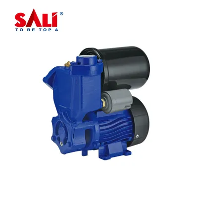 Sali Sk370 0.37kw/0.5HP H. Max 30m Self-Priming Peripheral Pump