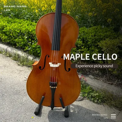 Lzs Very Well Selected Solid Spruce Top Oil Varnish Master Cello Brands (LZSC800)