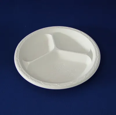 Disposable Plates (THP-39)