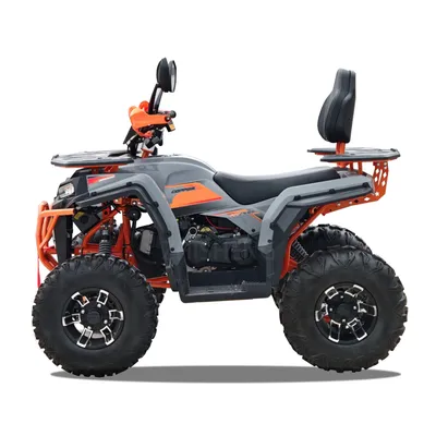 4 Wheels ATV for Adult 10 Inch Tire Quad ATV 200cc 250cc 300cc ATV