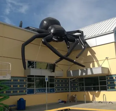 Giant Inflatable Spider Insect for Outdoors Club Decoration