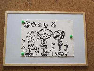Magnetic Board (60X40cm)