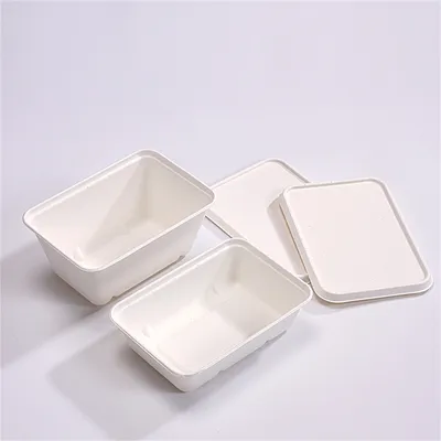 Disposable Eco-Friendly Sugarcane Bagasse Take Away 650ml Rectangle Box