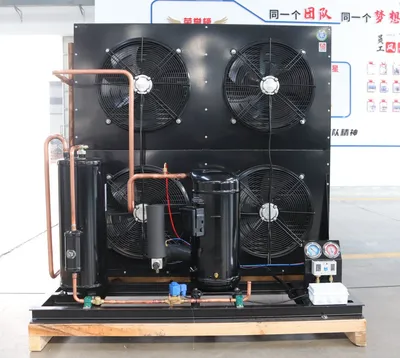 Refrigertaion Equipment for Vegetabl Walk in Freezer with Copeland Compressor