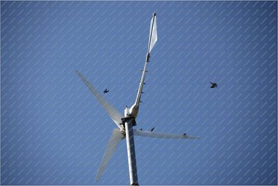Small 5kw Wind Generator