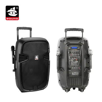 15 Inch Portable Professional Speaker Loudspeaker Bluetooth Speaker (PS-1215bt-Iwb)