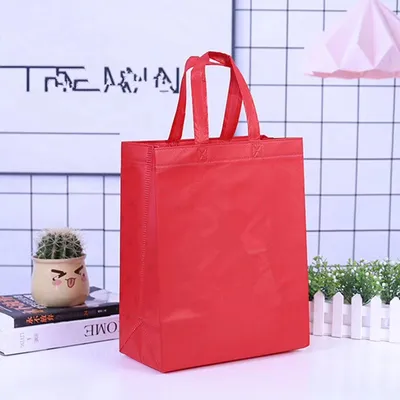 80GSM Eco-Friendly Non Woven Fabric Handle Bag