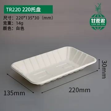 Tr220-Disposable Compostable Paper Dinner Tray