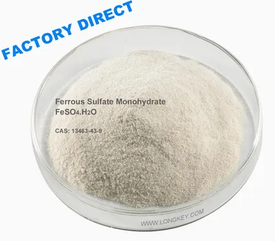 Ferrous Sulfate Ferrous Sulphate Mono Monohydrate Feso4 Powder Food Grade CAS 13463-43-9
