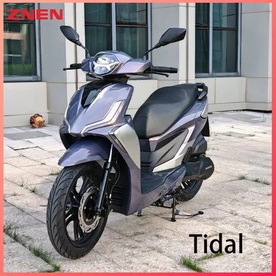 Gasoline Scooter 125cc 175cc 200cc 150cc 16 Inch Wheel Digital Meter Keyless Start System