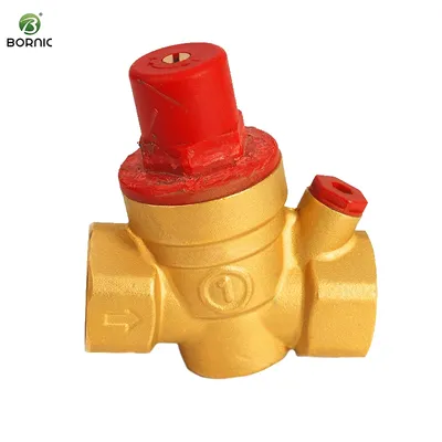 Bornic Forged Adjustable DN25 Brass Water Pressure Reducing Relief Regulator Valve for Water