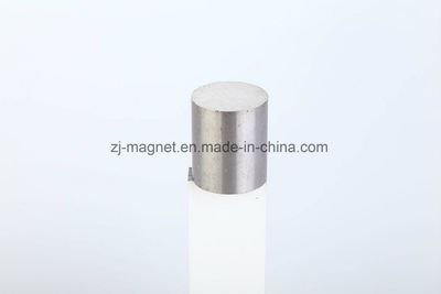 Wholesale Experience Customized AlNiCo Magnets for Guita Pickup