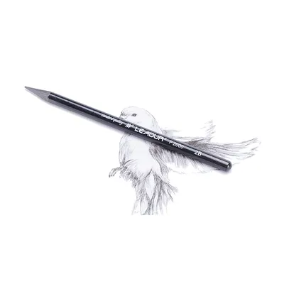 Professional Artist Advertising Gift Pencil Wood Free Graphite Pencil Woodless Graphite Pencil