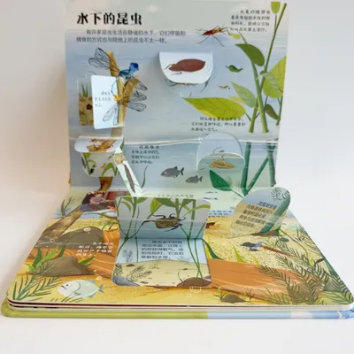 Hardcover Binding Children Story Full Color Printing Lift-The-Flap Board Book for Kids