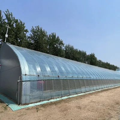 Steel Frame Double Layer Sunlight Greenhouse with Quilt for Vegetables