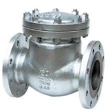 Check Valve