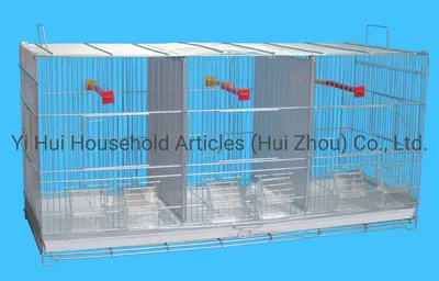 Zirdent Biotechnology Co., Ltd.