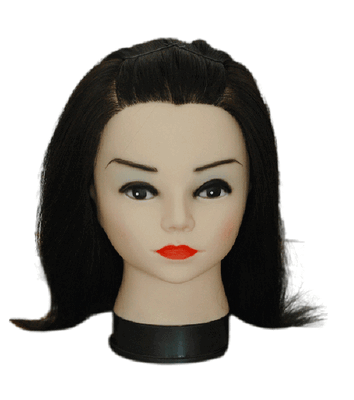 Training Head ((33)103-401)