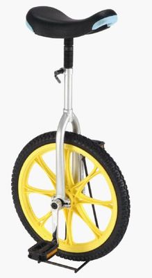 Unicycle