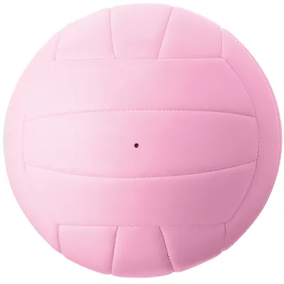 Professional Match Volleyball with Custom Logo for Match and Game