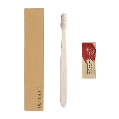 Dental Kit Cheap Hotel Disposable Toothbrush with Toothpaste Travel Airline Toothbrush