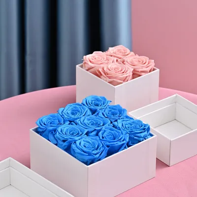 Factory Wholesale Natural Eternal Forever Immortal Preserved Roses Natural Rose Flower Decoration for Gifts