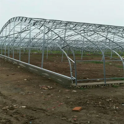 High-Quality C-Shaped Steel Green House for Durable Plant Protection