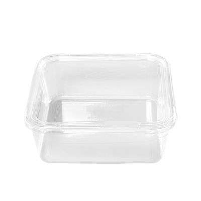 Clear Rectangular Plastic Container 8.5sq48