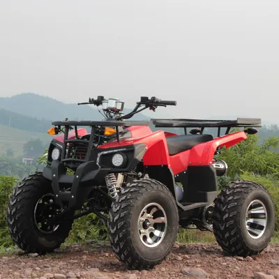 200cc ATV Petrol Quad Bike Four Wheel Automatic Buggy