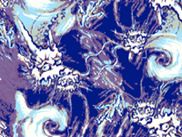 Swimming Cloth Fabric