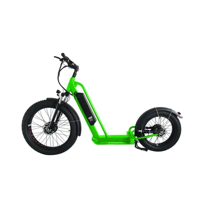 Adults Electric Scooters
