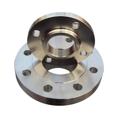 Sanitary Stainless Steel Flange for Water Treatment