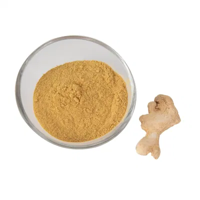 Organic Ginger Powder Ginger Ground
