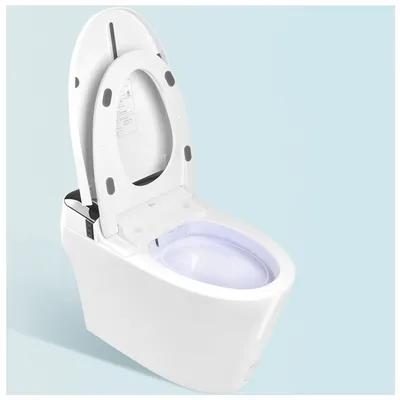 Fashion Auto Sensor Intelligent Ceramic Toilet Wc