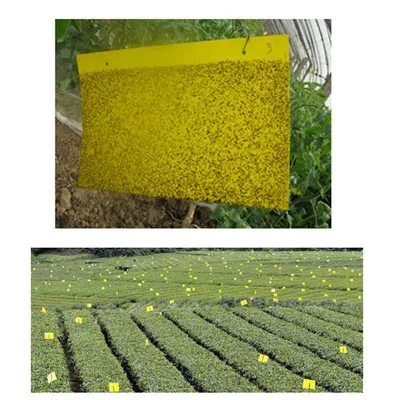 Agriculture Pest Control Insect Glue Yellow Sticky Trap