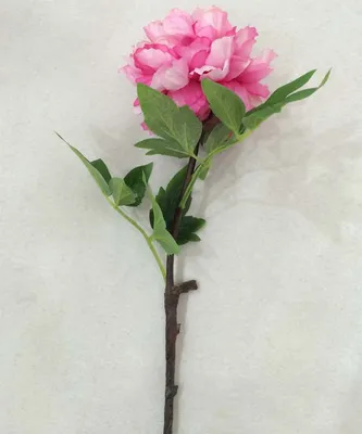 Artificial Silk Single Stem Peony for Decoration