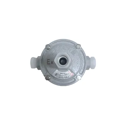 G-2W-H B-2W-F Multi - Port Explosion - Proof Junction Box for Efficient Wiring Explosion Proof Terminal Box