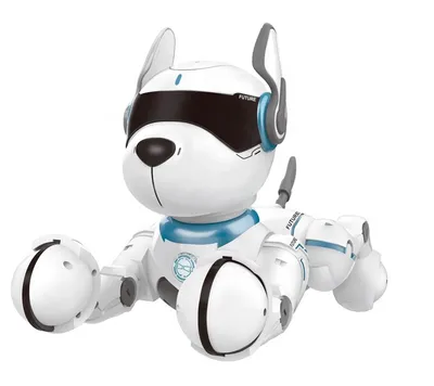 Hot Sellings Smart Gesture Sensing Remote Control Robot Toys for Kids