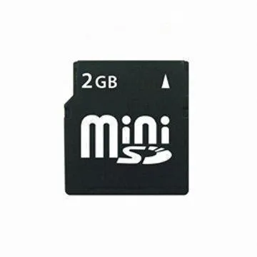 Mini SD Card