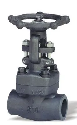 Forged Steel Gate Valve