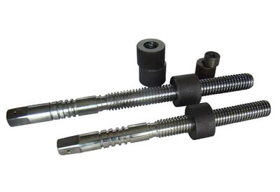 Stem (JFY-Stem-017)