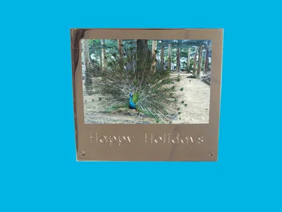 Photo Frame