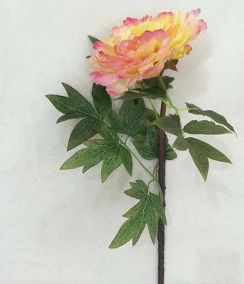 Artificial Single Stem Peony Flower for Decoration