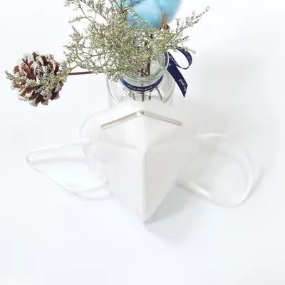 Face Mask in Stock Disposable 3D Fold Dust KN95 Face Mask