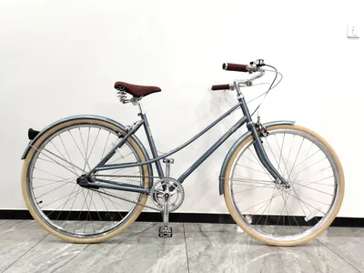 China Wholesale Commute City Bicycle with Nexus Three Speed
