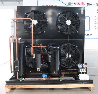 Open Type Air Cooled Condensing Unit with Copeland Compressor