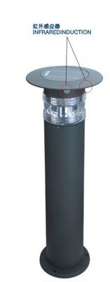 Solar Induction Lawn Light