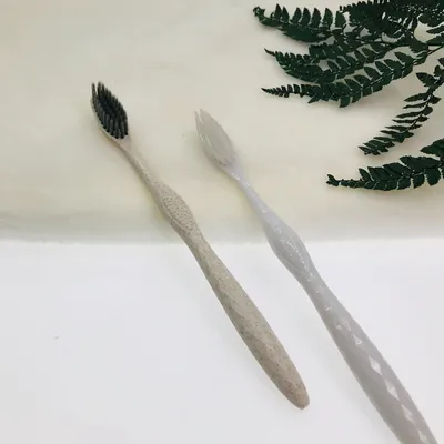 Eco-Friendly Custom Logo Hotel Toothbrush for All Ages