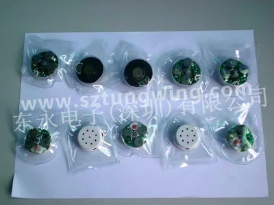 Kids Toy Waterproof Sound Module