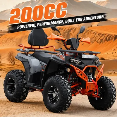 200cc Four Wheel ATV Petrol Quad Bike Automatic Buggy CE Certified